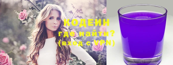 дмт Пересвет