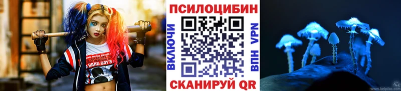 Псилоцибиновые грибы Psilocybe  купить наркотики цена  Татарск 